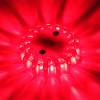 LED ȯȯ9ѥȯʥޥͥåȡŴա